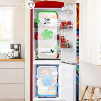 VR-FB373-2E1RD David Bowie_3