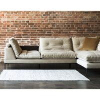 study-by-arik-ben-simhon2