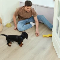 Bloom Sand Natural V4 -3