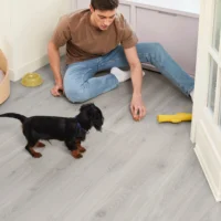 Bloom Silver Grey V4 -2