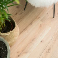 Canyon Natural V4 -4