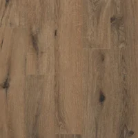 Gyant Brown Natural V4 -