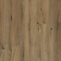 Gyant Brown Natural XL -