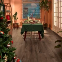 Gyant Dark Brown V4 -2