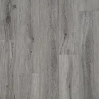 Gyant Light Grey V4 -