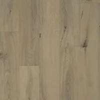 Gyant Light Natural V4 -