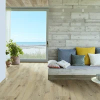 Gyant Light Natural V4 -2