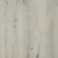 Gyant Light V4 --kopia