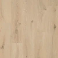 Gyant Sand Natural V4 -