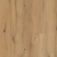 Gyant Warm Natural XL -